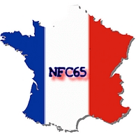 NFT65 emblem