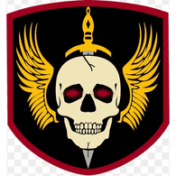 ST1M emblem