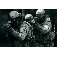 1PSDS emblem