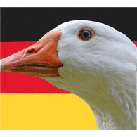 DTPIV emblem