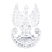 5IEMA emblem