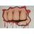 OLI emblem