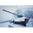 EISBR emblem