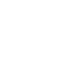 RHID emblem