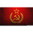 SFSR emblem