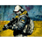 BMHMD emblem
