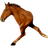 KONIU emblem