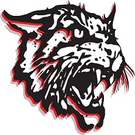 OLS emblem