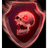 T-CY emblem