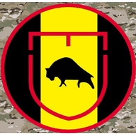 1PNIG emblem