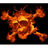 FI_RE emblem