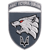 _ACE_ emblem