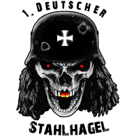 2-DSH emblem