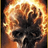 PZLP emblem