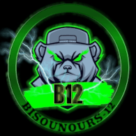 B-12 emblem