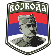 V_Z_M emblem