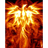 LUCY emblem