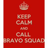 BR4VO emblem
