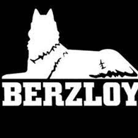 B0RZ emblem