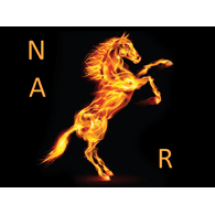 N_A_R emblem