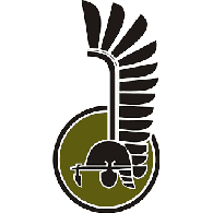 11DP emblem