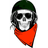 VEPS emblem