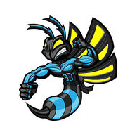 L-F-N emblem