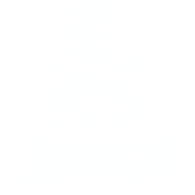 NMDS emblem