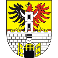 DR1 emblem