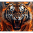 TIG_ emblem