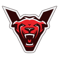 V-4ER emblem