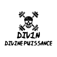 DIV1N emblem
