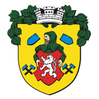 VASP emblem