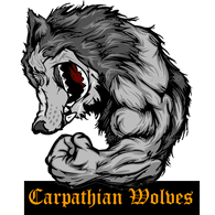 WOLFT emblem