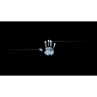 SLSR emblem
