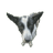 CYPES emblem