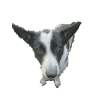 CYPES emblem