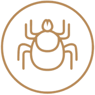 TICKS emblem