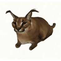 KVITS emblem