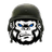 AAPES emblem