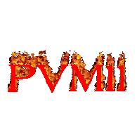 PVM11 emblem