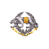 _INB_ emblem