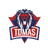 TDMAS emblem