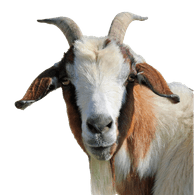 FGOAT emblem