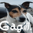 GAGII emblem