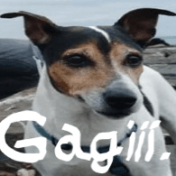 GAGII emblem