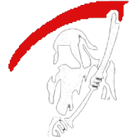WIDMA emblem