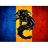 LS_RO emblem