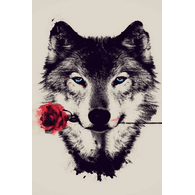 SKNS emblem