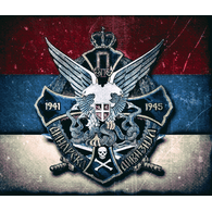 YTD emblem